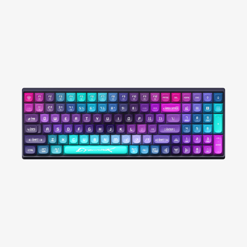 Cyberpunk100